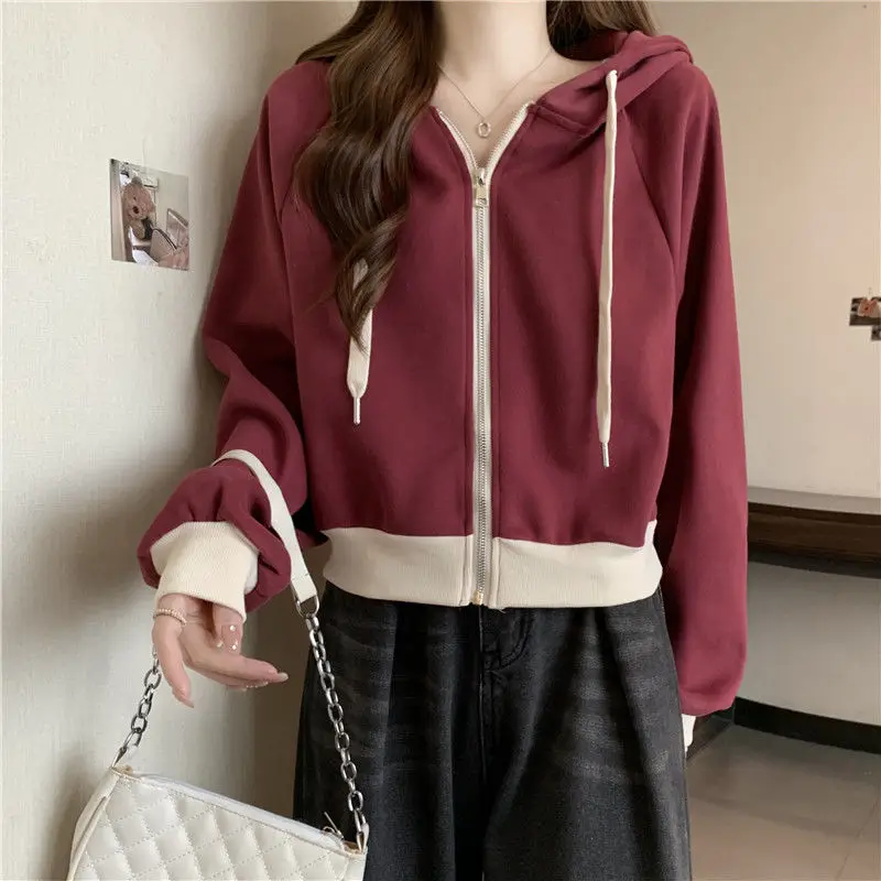 Femme primavera outono coreano - Summer Clothing Drawing avaliação e preço